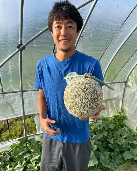 岸田農園メロン、最後の1玉を収穫